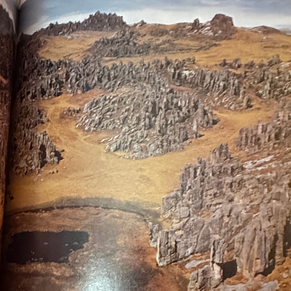 National Geographic The Incredible Incas Book - Blue and Gold Cover - Picture 8 of 11